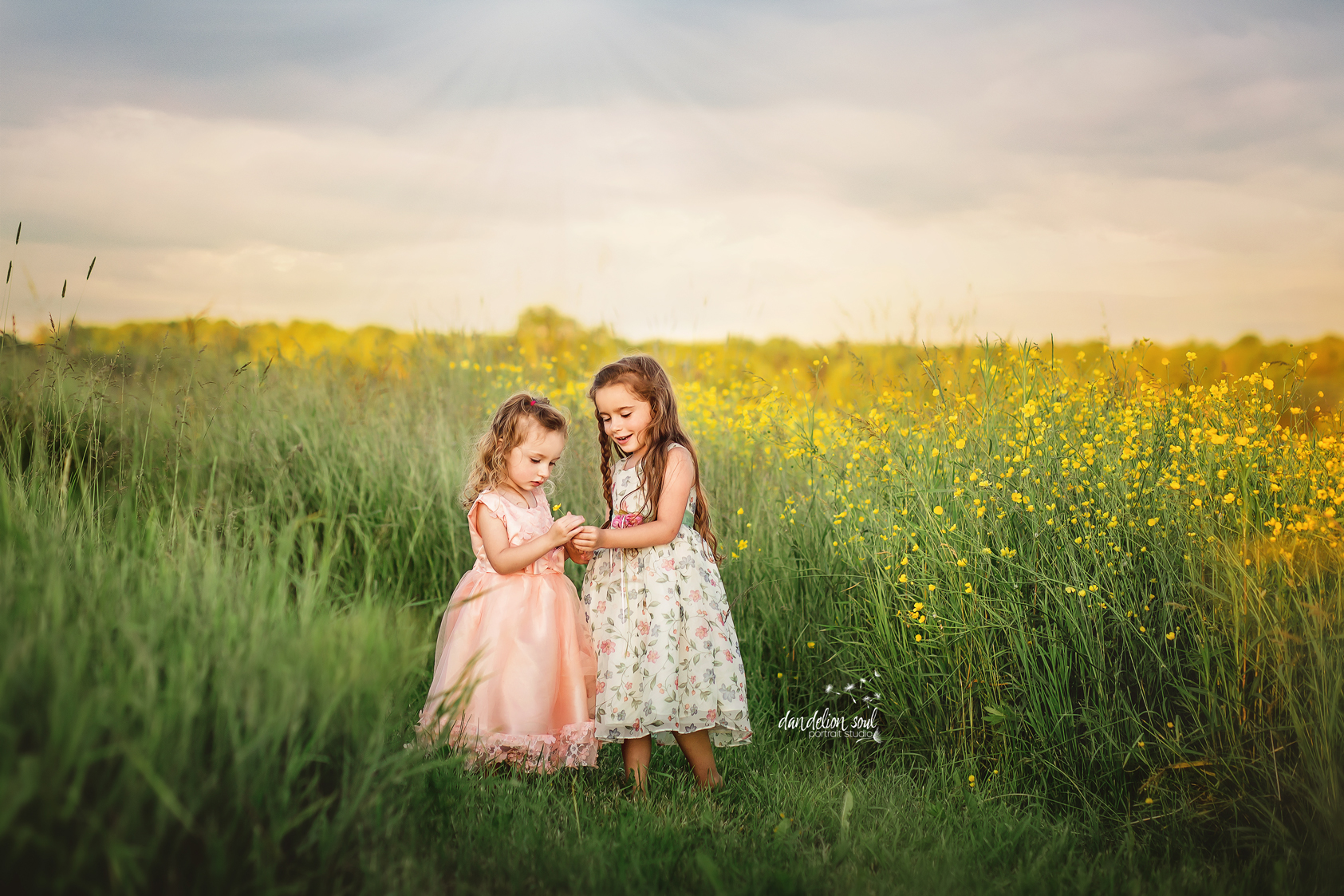 IMG_4786-dandelionsoul.studio